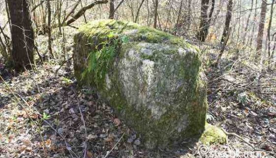 Zubovići