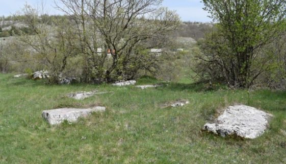 Grudine (8)