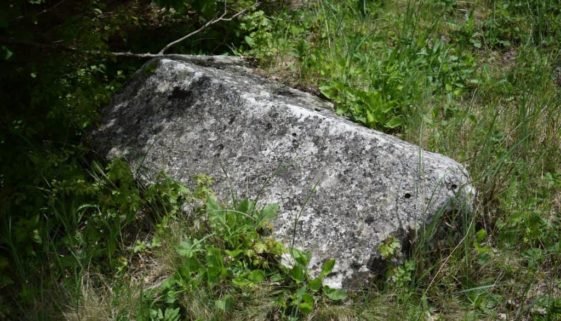 Slavić (1)