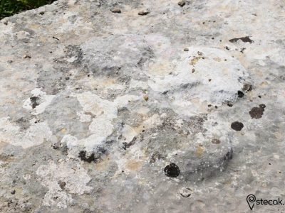 Tribistovo II Jezero (2)