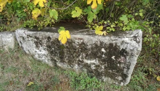 Gorica1