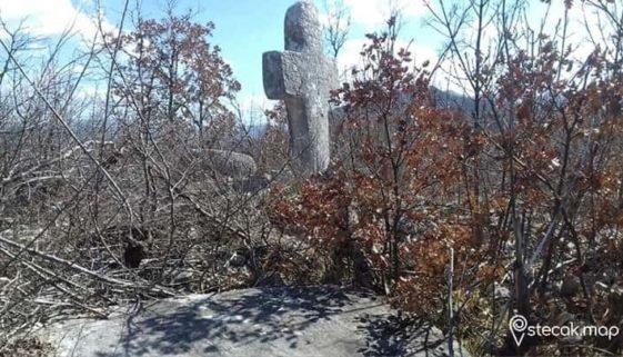 Vlaka 5