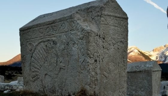 1Dugo polje