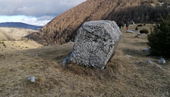Dolovi