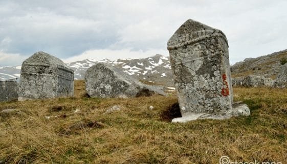Čengića bara
