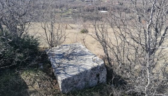 Željuša 10