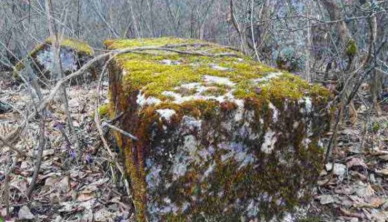 Gradina