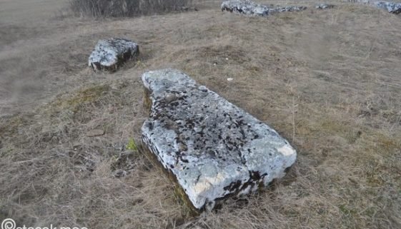 Ploče