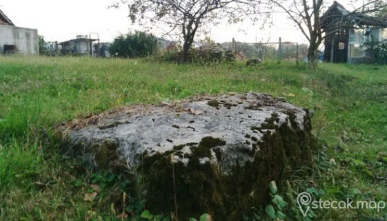 Rosulje0