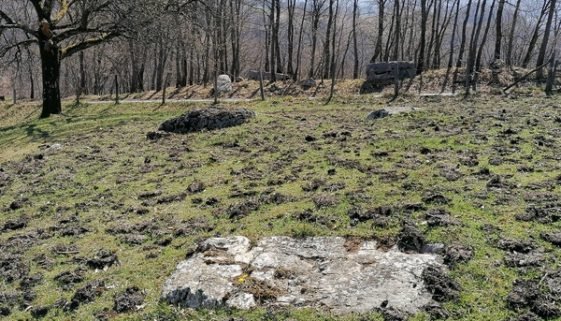 Piskavice