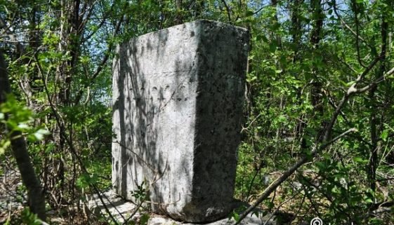 Rđusi