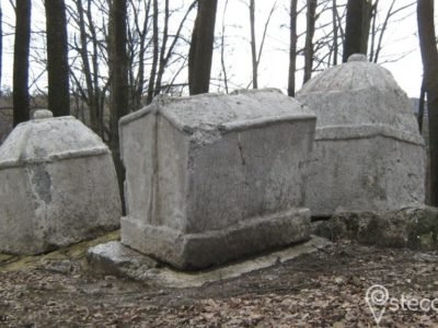 Stećci vojvode Momčila