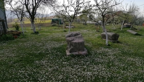 Mramorje (Brda)