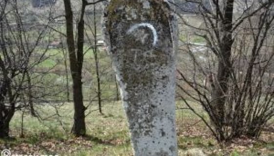 Hrastova glavica