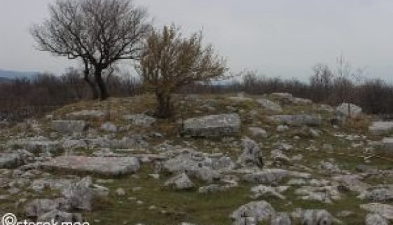 Humčica13