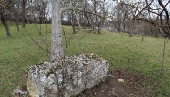 Rožića greda5