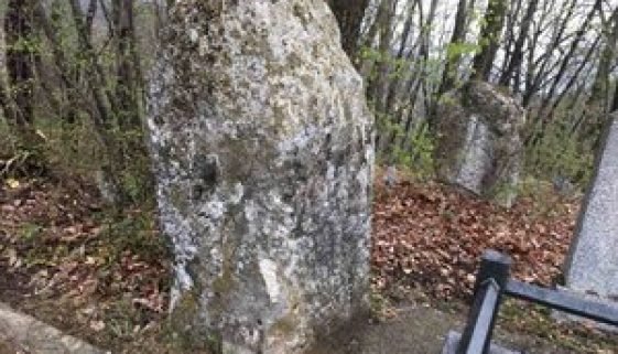 Malešić