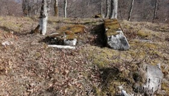 Pavlovac