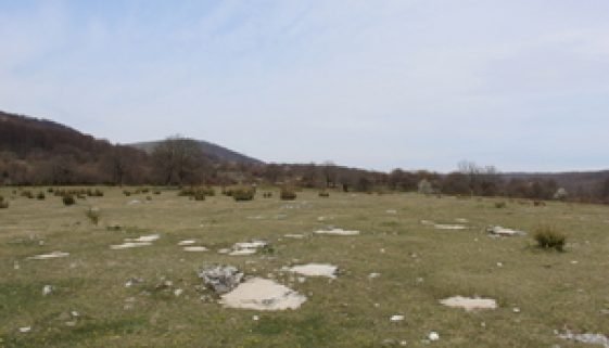 Poljice