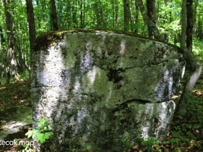 Tešanovića krčevine5