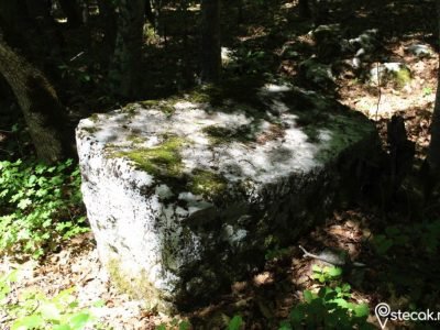 Tešanovića krčevine6