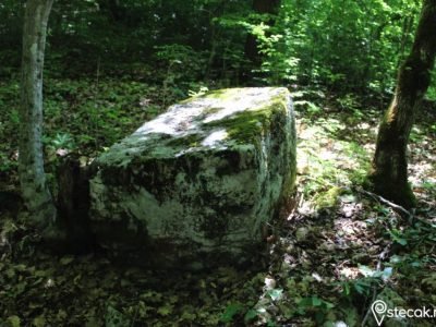 Tešanovića krčevine7