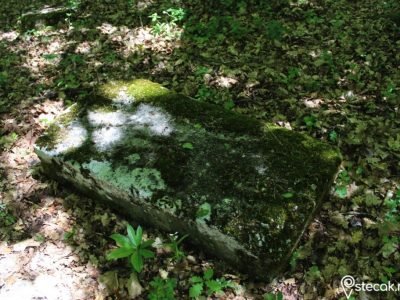 Tešanovića krčevine8