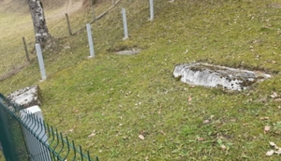 Nikolići