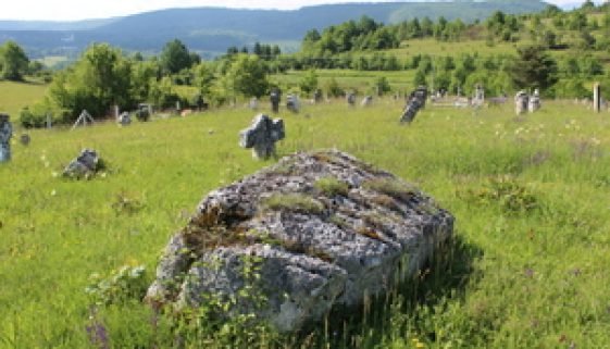 Krstovi