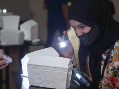 stecak.3D7 stecak.3D7