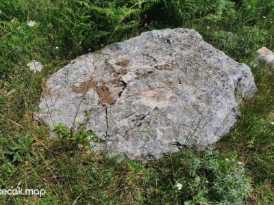 Pavići – Osnovna škola