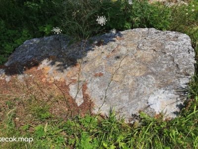 Pavići – Osnovna škola