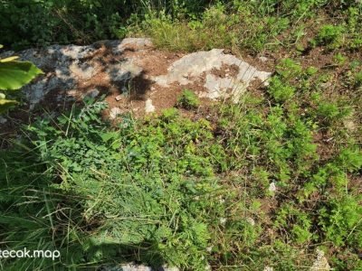 Pavići – Osnovna škola