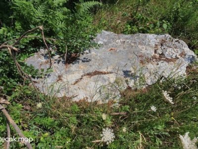 Pavići – Osnovna škola