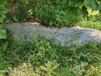 Pavići – Osnovna škola