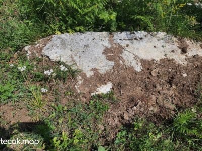 Pavići – Osnovna škola