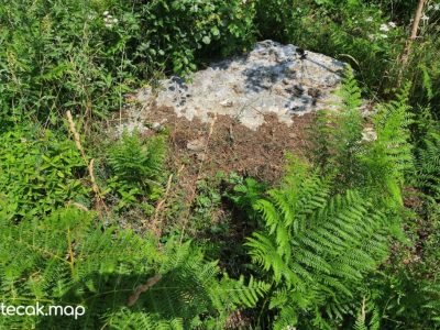 Pavići – Osnovna škola