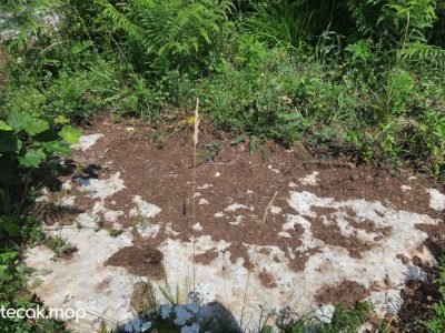 Pavići – Osnovna škola