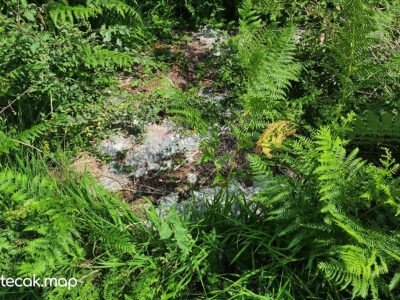 Pavići – Osnovna škola Pavići – Osnovna škola