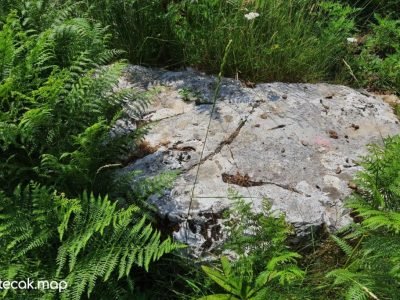 Pavići – Osnovna škola Pavići – Osnovna škola