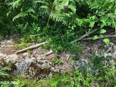 Pavići – Osnovna škola Pavići – Osnovna škola