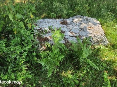 Pavići – Osnovna škola Pavići – Osnovna škola