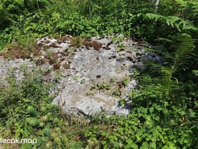 Pavići – Osnovna škola Pavići – Osnovna škola