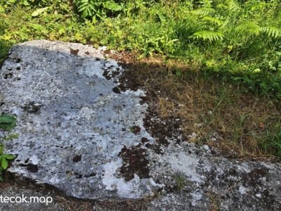 Pavići – Osnovna škola Pavići – Osnovna škola