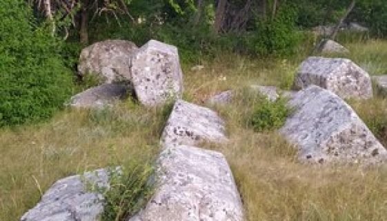 Gornji Polog